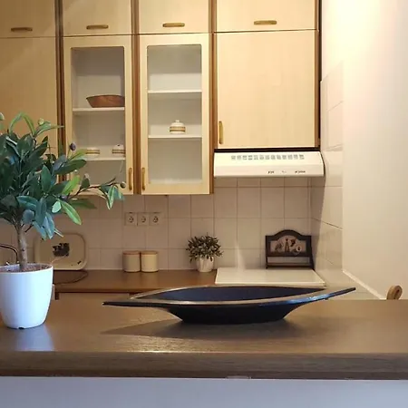 Studio Az Egyetem Mellett Apartmán Segedín